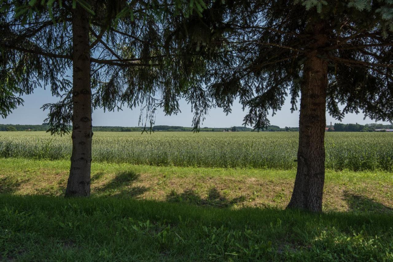 Posteleki Vendeghaz-Nyugalom Szigetei Villa Gyula Bagian luar foto